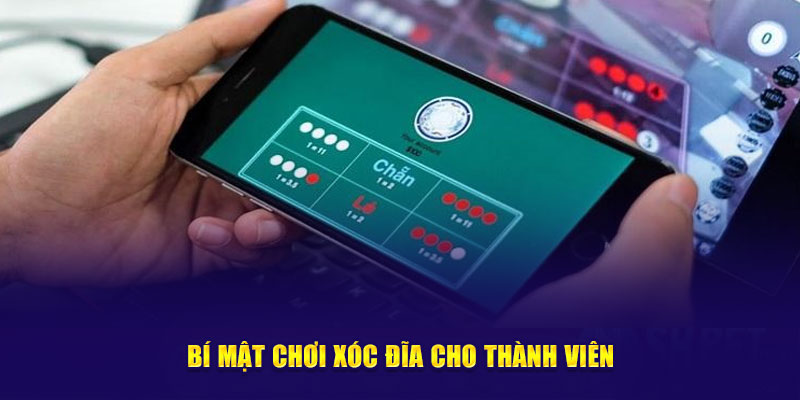 Ảnh: Kinh nghiệm chơi xóc đĩa cho thành viên