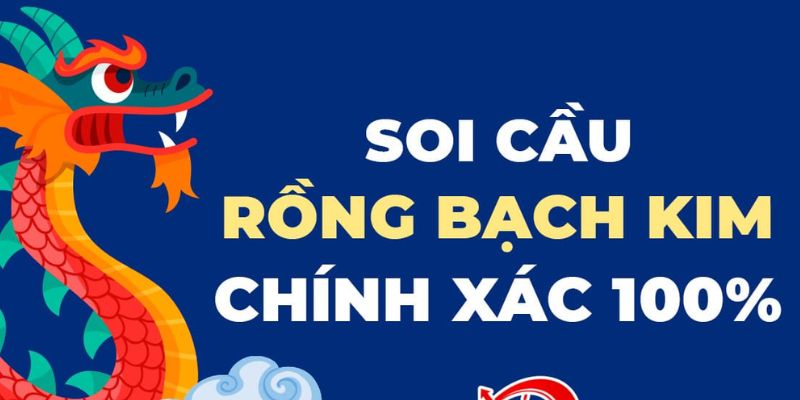 Các loại lô bạn sẽ gặp tại trang soi cầu Rồng Bạch Kim
