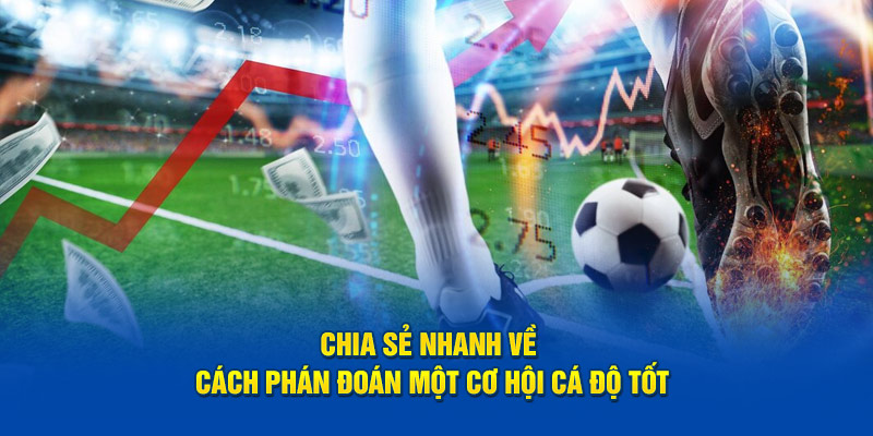 Chia sẻ nhanh về cách phán đoán một cơ hội cá độ tốt