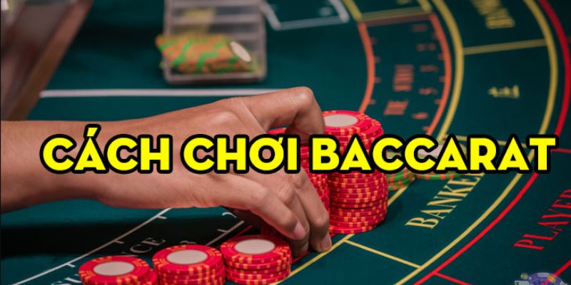 Kinh nghiệm chơi Baccarat qua việc canh bài