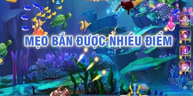 Kinh nghiệm chơi bắn cá online chung cơ bản nhất