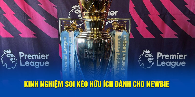 Kinh nghiệm soi kèo hữu ích dành cho newbie