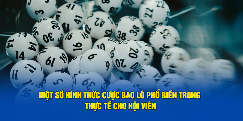 Một số hình thức cược bao lô phổ biến trong thực tế cho hội viên