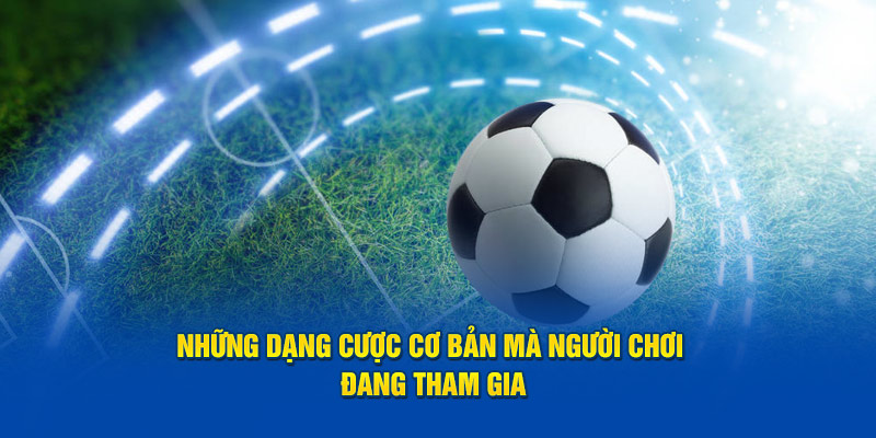 Những dạng cược cơ bản mà người chơi đang tham gia