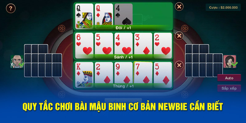 Quy tắc chơi bài Mậu Binh cơ bản newbie cần biết