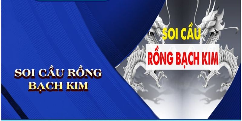 Soi cầu rộng bạch kim hiệu quả