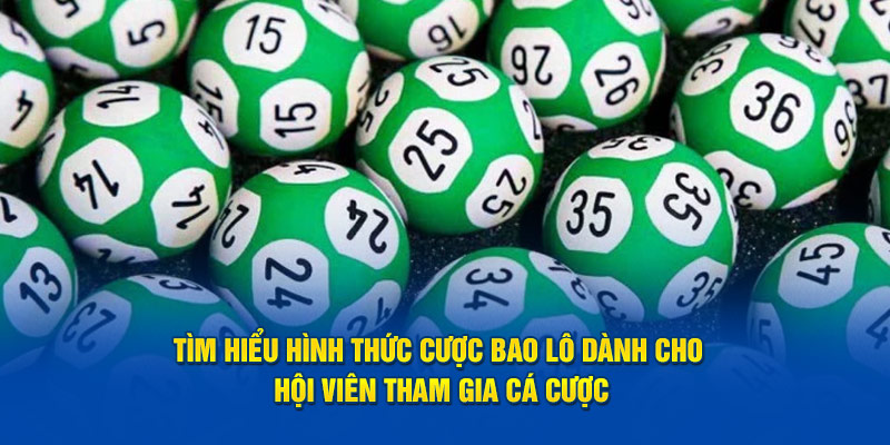 Tìm hiểu hình thức cược bao lô dành cho hội viên tham gia cá cược