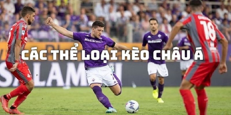 1 số thể loại kèo cá độ asian betting