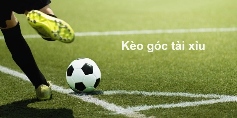 Tài xỉu phạt góc là hình thức được nhiều bet thủ biết đến nhất