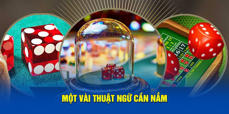 Ảnh: Một vài thuật ngữ cần nắm