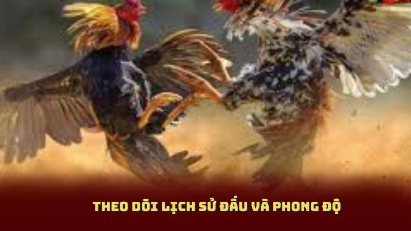 Theo dõi lịch sử đấu và phong độ